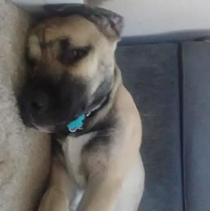 Meet your Posher, Tyler